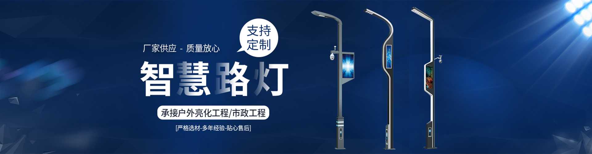 名山区太阳能路灯定制厂家
